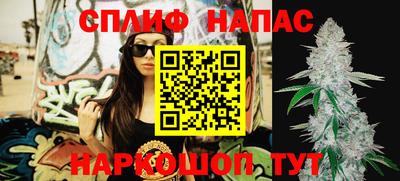 apvp Дубна