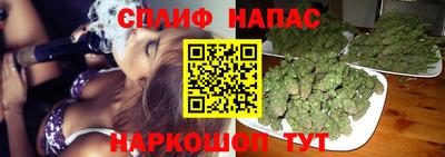 apvp Дубна