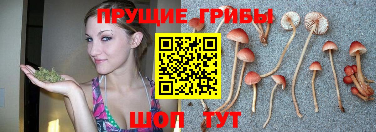 Можайск  Галлюциногенные грибы MAGIC MUSHROOMS  Вход с VPN 